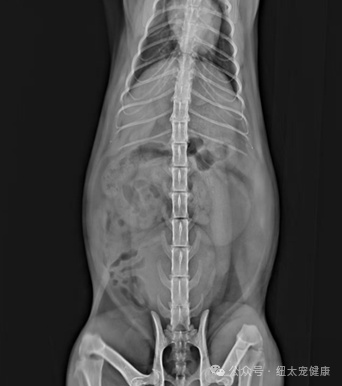 Imaging Results (2)