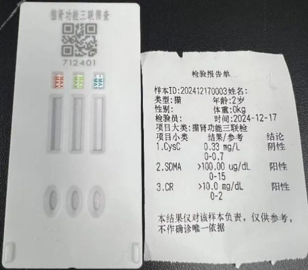 New Test Feline Renal Function Combo Test Kit and Result Report